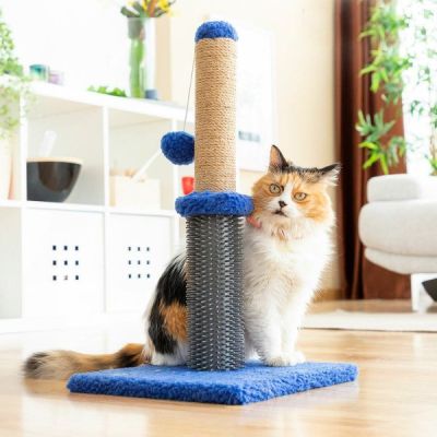 Griffoir Massant pour Chat