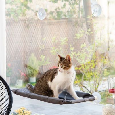 Hamac Suspendu pour Chat