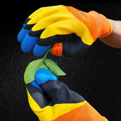 Paire de gants de cueillette