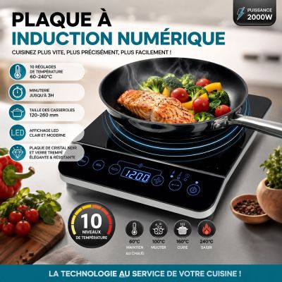 Plaque à Induction Numérique 2000W