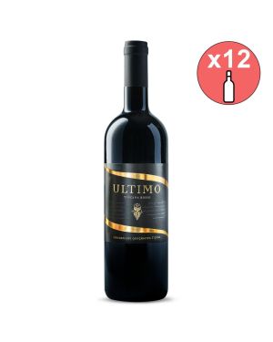 12 Flaschen Rotwein aus der Toskana Ultimo 2023