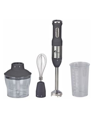 Set Mixeur Plongeant Ohmex