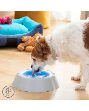 Erfrischender Futternapf