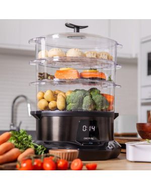 Vapovita Pro Steamer