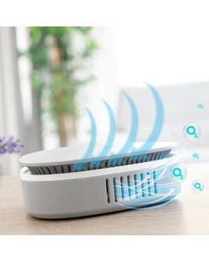 Desinfektor und Luftreiniger - Ozongenerator