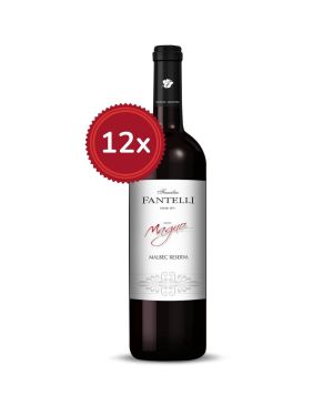 12 bouteilles Fantelli Magno Malbec Reserva 2020