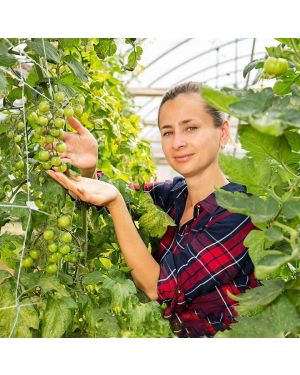 Filet pour Plantes Grimpantes 3 x 1.5 m