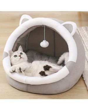 Katzenkorb cozy cartoon