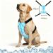 ChillVest™ – Gilet Rafraîchissant pour Chien