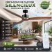 Ventilateur de Plafond Silencieux Nordique 3 Pales