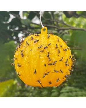 Hängende Fliegen- und Wespenfalle aus Plastik